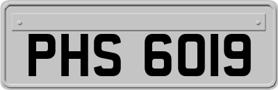 PHS6019