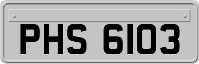 PHS6103