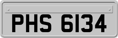 PHS6134