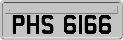 PHS6166