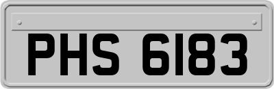 PHS6183