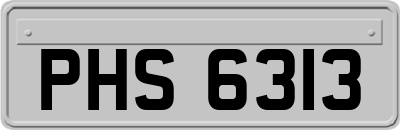 PHS6313