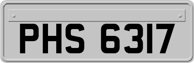 PHS6317