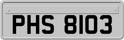 PHS8103