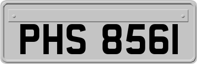 PHS8561