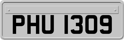 PHU1309