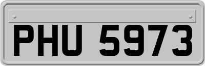 PHU5973