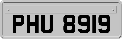 PHU8919