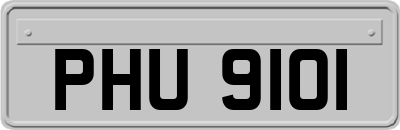 PHU9101