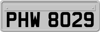 PHW8029