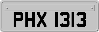 PHX1313