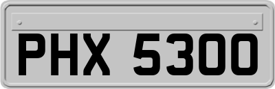 PHX5300