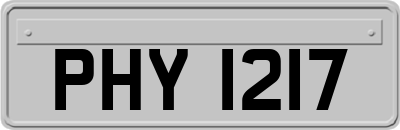 PHY1217