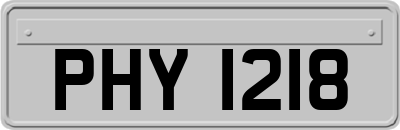 PHY1218