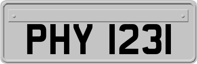 PHY1231