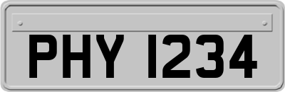 PHY1234