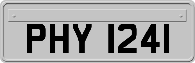 PHY1241