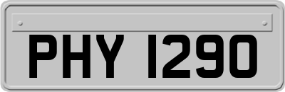 PHY1290