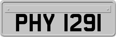 PHY1291