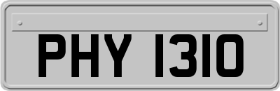 PHY1310