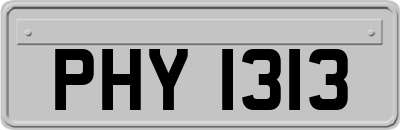 PHY1313