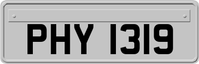 PHY1319