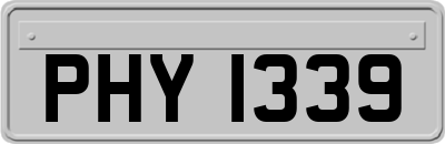 PHY1339