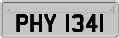 PHY1341