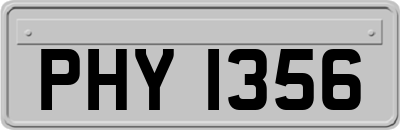 PHY1356