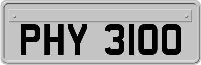 PHY3100