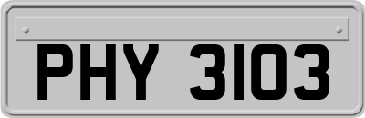 PHY3103