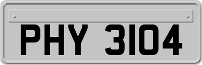 PHY3104