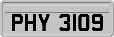 PHY3109