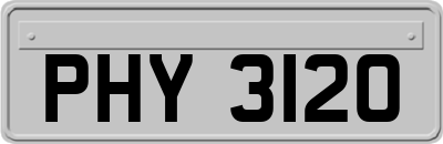 PHY3120