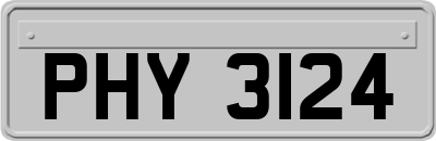 PHY3124