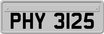 PHY3125