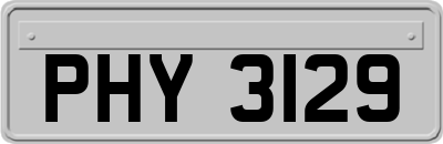 PHY3129