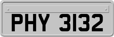 PHY3132