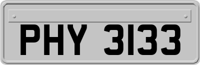 PHY3133