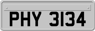 PHY3134