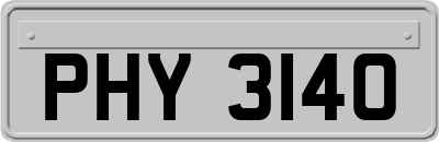 PHY3140