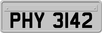 PHY3142