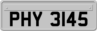 PHY3145