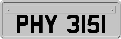 PHY3151