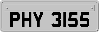 PHY3155