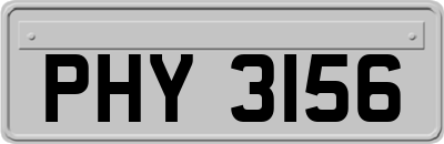 PHY3156