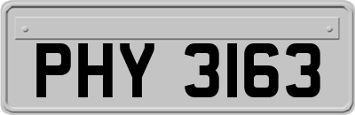 PHY3163