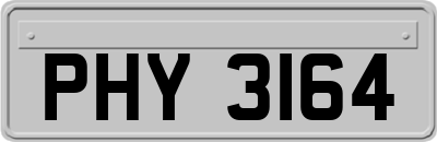 PHY3164