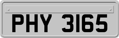 PHY3165