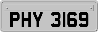 PHY3169